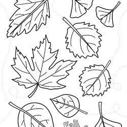 Brilliant Disney Autumn Coloring Pages At Free Printable Fall Leaves Kids Leaf Thanksgiving Falling Preschool