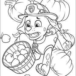 Super Free Printable Fall Coloring Pages For Kids Seasons