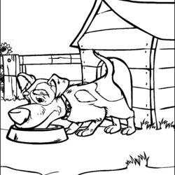 And The Bear Coloring Pages Print Color