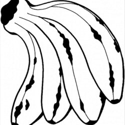 Marvelous Coloring Pages Banana Food Fruits Bananas Free Printable Color Fruit Beneficial