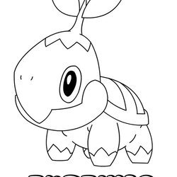 Admirable Best Pokemon Coloring Pages Images On Print Colouring Kids To
