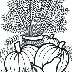 Super Fall Coloring Pages For Adults At Free Printable Harvest Autumn Adult Wheat Sheets Thanksgiving