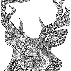 Very Good Fall Coloring Pages For Adults Free Deer Adult Printable Color Print Colouring Cool Advanced