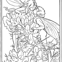 Spiffing Fairy Coloring Pages For Adults To Download And Print Free