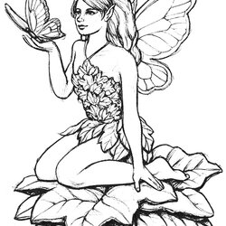 The Highest Standard Fairy Coloring Pages For Adults Best Kids Drawing Butterfly Adult Line Drawings Fairies
