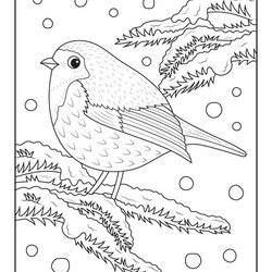 Super Winter Adult Coloring Pages Woo Jr Kids Activities