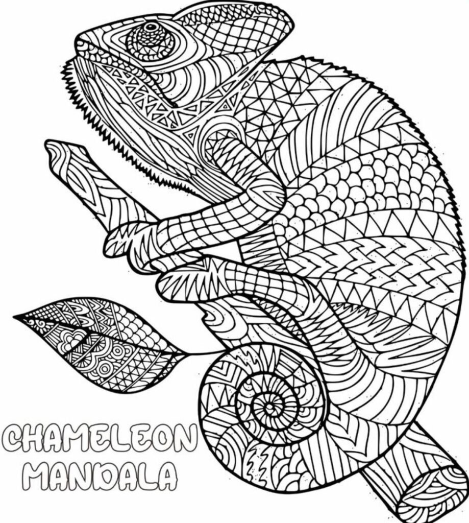 Chameleon Mandala Coloring Pages